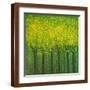 Brown Frame