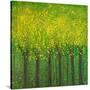 Stretched Canvas