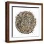 Brown Frame