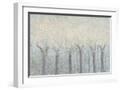 White Frame