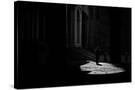 Stretched Canvas
