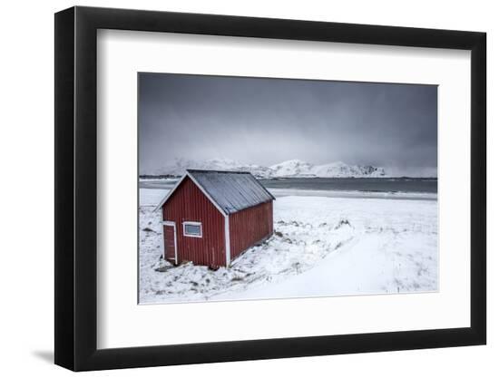 Premium Photographic Print, , large