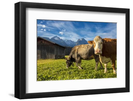 Premium Photographic Print, , large