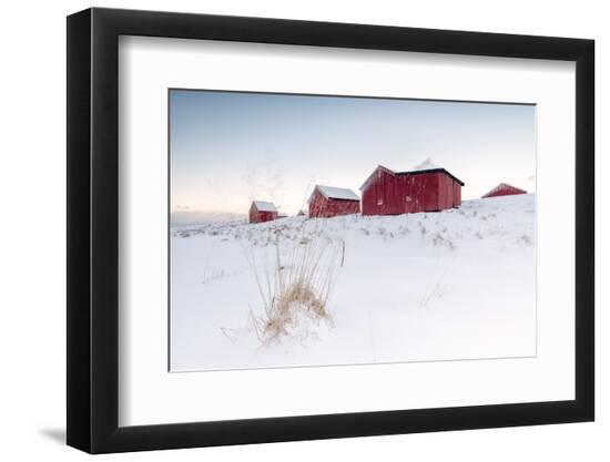 Photographic Print, , large
