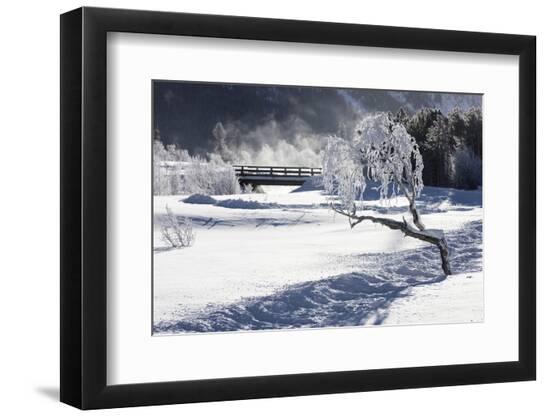 Premium Photographic Print, , large