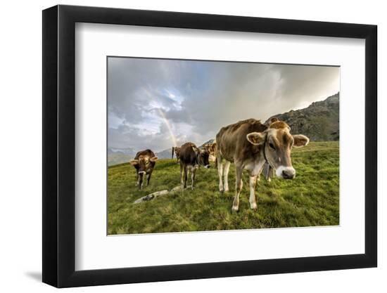 Premium Photographic Print, , large