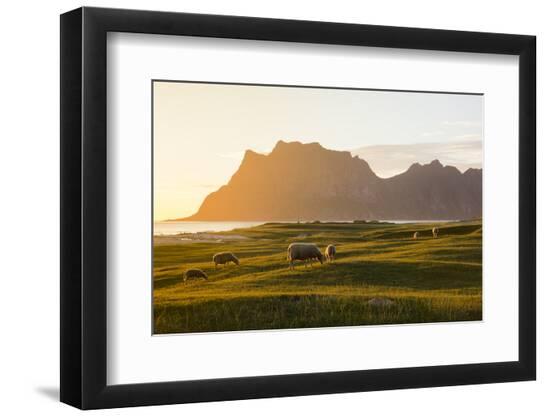 Photographic Print, , large