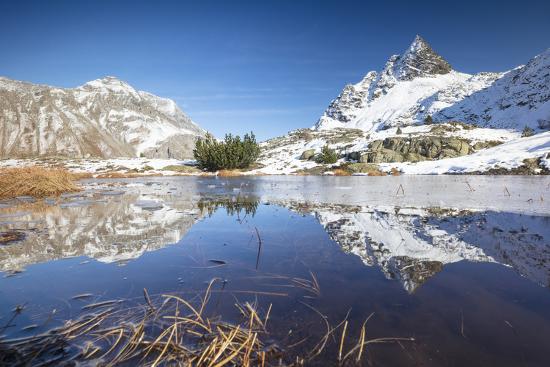 Premium Photographic Print, , large
