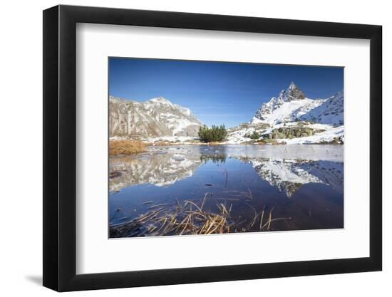 Photographic Print, , large