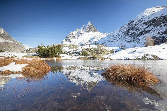 Premium Photographic Print, , large