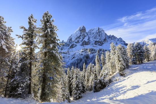 Premium Photographic Print, , large