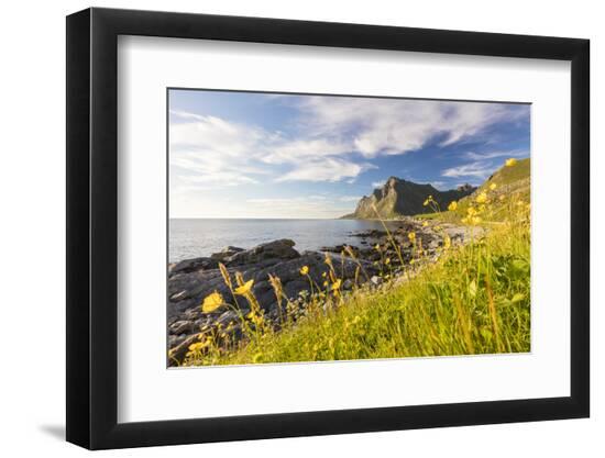 Premium Photographic Print, , large