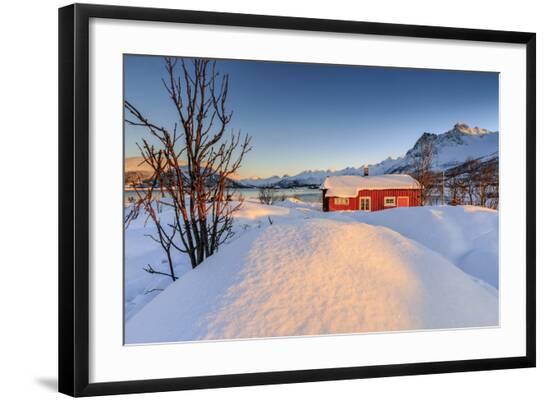 Photographic Print, , large