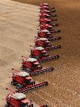 A Group of Harvesters Performs its Task in Establishing the State's North of Mato Grosso-Roberto Pera-Laminated Photo