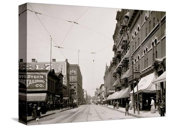 Stretched Canvas Print, , large