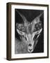 Robertsi Gazelle from Kenya Serengeti in Storage, American Museum of Natural History-Margaret Bourke-White-Framed Premium Photographic Print