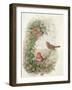 Robin, 1873-John Gould-Framed Giclee Print