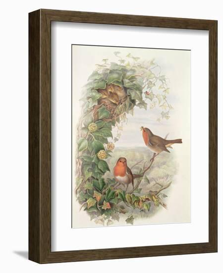 Robin, 1873-John Gould-Framed Giclee Print