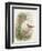 Robin, 1873-John Gould-Framed Giclee Print