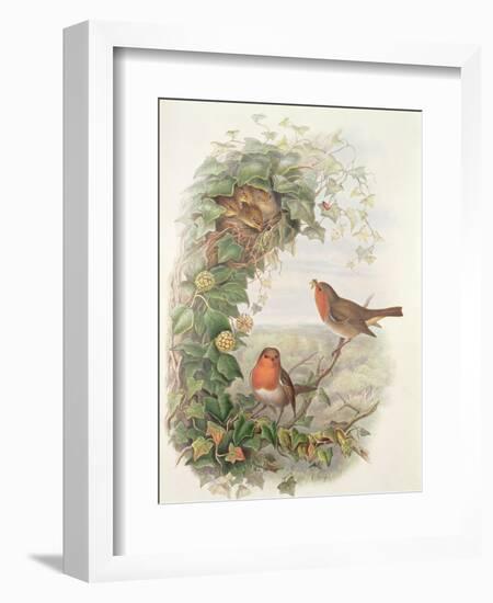 Robin, 1873-John Gould-Framed Giclee Print