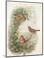 Robin, 1873-John Gould-Mounted Giclee Print