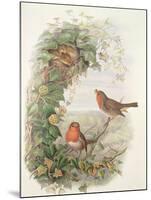 Robin, 1873-John Gould-Mounted Giclee Print