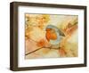 Robin among Flowers-Angeles M Pomata-Framed Giclee Print