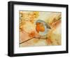 Robin among Flowers-Angeles M Pomata-Framed Giclee Print