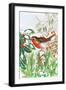 Robin and Snowdrops-Tony Todd-Framed Giclee Print