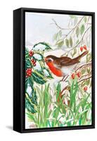 Robin and Snowdrops-Tony Todd-Framed Stretched Canvas