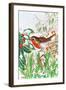 Robin and Snowdrops-Tony Todd-Framed Giclee Print