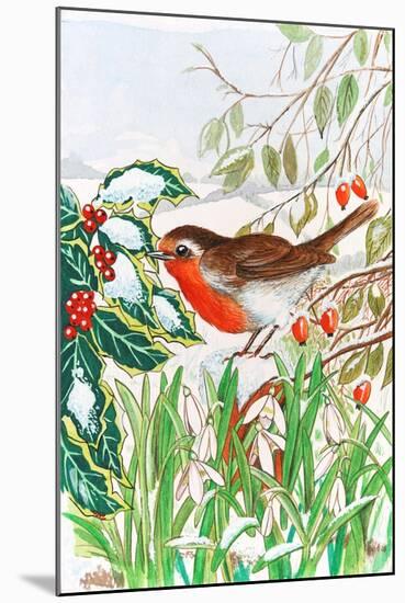 Robin and Snowdrops-Tony Todd-Mounted Giclee Print