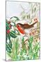 Robin and Snowdrops-Tony Todd-Mounted Giclee Print