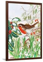 Robin and Snowdrops-Tony Todd-Framed Giclee Print
