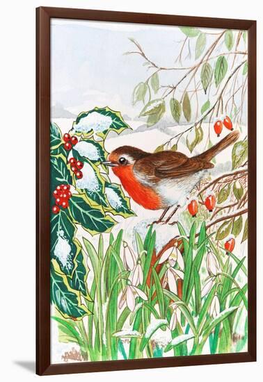 Robin and Snowdrops-Tony Todd-Framed Giclee Print