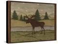 Stretched Canvas