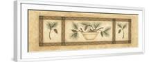 White Frame