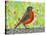 Robin Bird Watercolor-null-Stretched Canvas