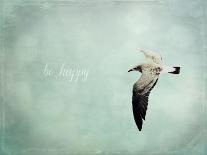 Be Happy and Fly-Robin Dickinson-Art Print