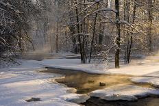 A Beautiful Morning at the Lake-Robin Eriksson-Photographic Print