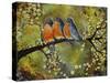 Robin Family-Blenda Tyvoll-Stretched Canvas