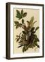 Robin Family-John James Audubon-Framed Premium Giclee Print