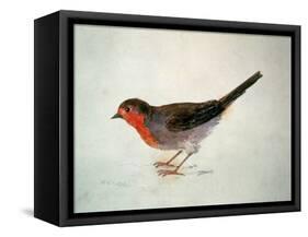 Robin, from the Farnley Book of Birds, C.1816-J. M. W. Turner-Framed Stretched Canvas