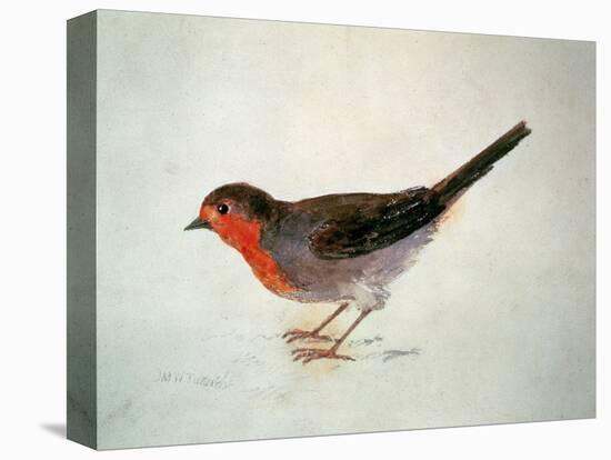 Robin, from the Farnley Book of Birds, C.1816-J. M. W. Turner-Stretched Canvas