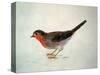 Robin, from the Farnley Book of Birds, C.1816-J. M. W. Turner-Stretched Canvas