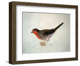 Robin, from the Farnley Book of Birds, C.1816-J. M. W. Turner-Framed Giclee Print