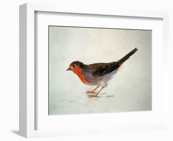 Robin, from the Farnley Book of Birds, C.1816-J. M. W. Turner-Framed Giclee Print