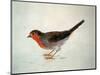 Robin, from the Farnley Book of Birds, C.1816-J. M. W. Turner-Mounted Giclee Print