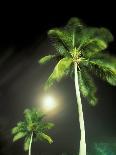 Tropics Palm Trees and Moon-Robin Hill-Photographic Print