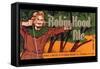 Robin Hood Ale-null-Framed Stretched Canvas